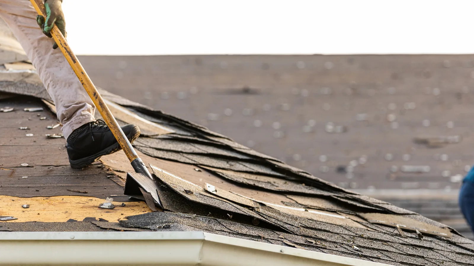 Roofer lifting old shingles with a shovel beside exposed roof decking